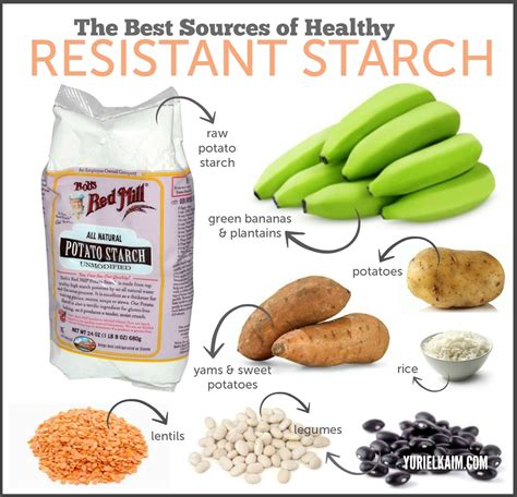 Resistant Starch: Everything You Need to Know About This Healthy Carb ...