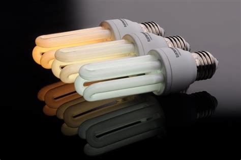 Types Of Fluorescent Bulbs | Hunker