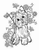 Teacup Yorkie Coloring Pages sketch template