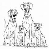 Great Dane Coloring Pages  Free & Printable sketch template