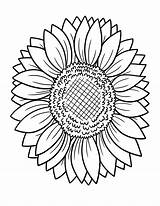 Disegni Di Girasole Da Colorare  ColoringlibCom sketch template
