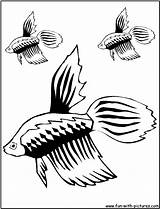 Guppy Coloring Pages sketch template