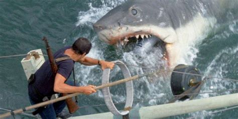 The Original Jaws Shark Robot Has Been Restored, And It Looks Amazing ...