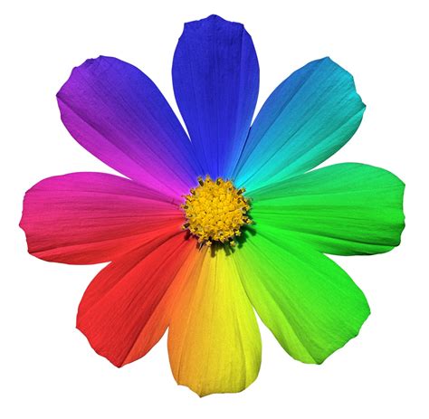 The Meaning Of Flower Colors – Learn What Flower Colors Symbolize ...