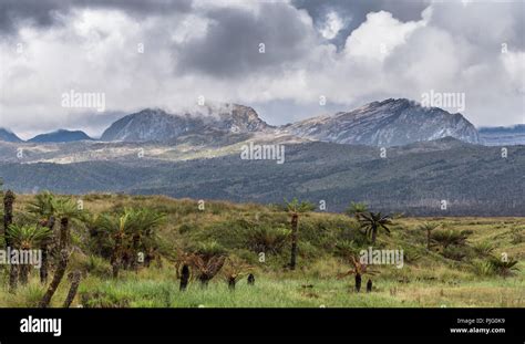 Mountains of the Central Range in the highlands of New Guinea. Papua ...