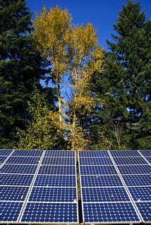 Solar panels in front of trees | Trees stand over the solar … | Flickr