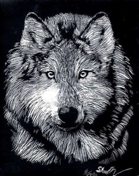 Wolf Scratchboard kit thingy by Dogmasda on DeviantArt