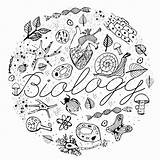 Biologie Deckblatt Zum Ausmalen Malvorlagen  Images And Photos Finder sketch template