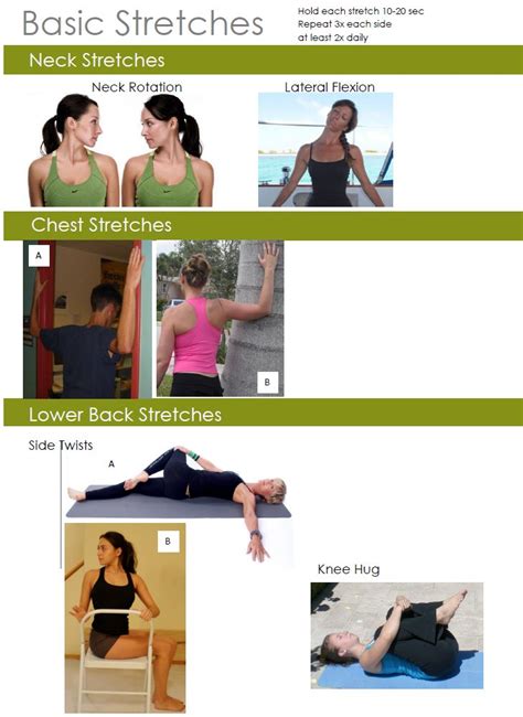 Basic stretches page one | Exercise, Back exercises, Chiropractic