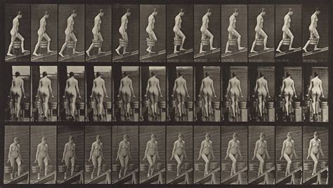 Eadweard Muybridge · SFMOMA