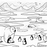 Arctic animals coloring Page Download Or Print For Free sketch template