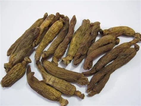 Ginseng Roots, 5 Kg, Packaging Type: Carton at Rs 8000/kilogram in ...