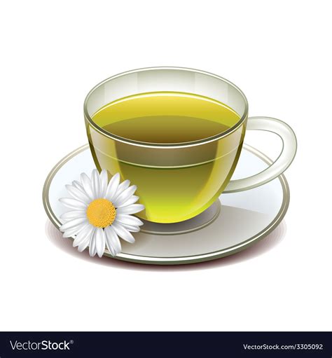 Green tea cup isolated Royalty Free Vector Image