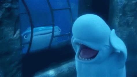 Beluga Whale Finding Dory GIF - Beluga Whale Finding Dory Whale ...