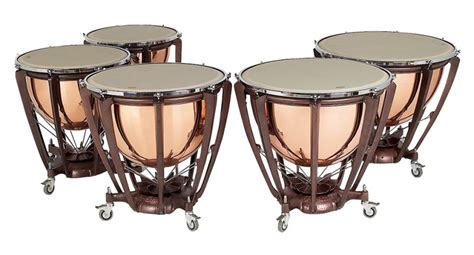 Newloc - Classique - PREMIER - ELITE TIMBALES