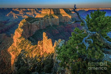 Cape Royal Sunrise Photograph by Inge Johnsson - Fine Art America