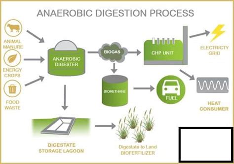 anaerobic-digestion-process | Green City Times