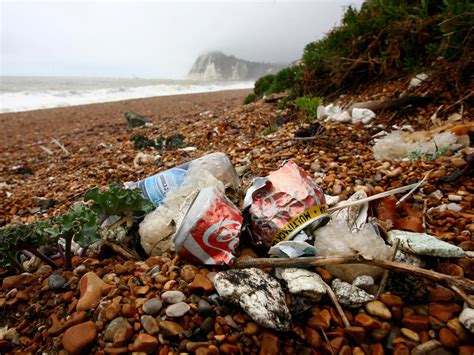 Litter on British beaches rises 10 per cent as charities urge tax for 'on the go' plastic ...