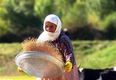 Official Highlights Role of Iran's Rural Women in Boosting Livelihoods - Economy news - Tasnim ...