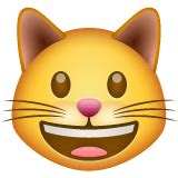 58 Top Photos Laughing Cat Emoji Meaning - What Does That Wechat Emoji Mean Here Dongguan ...