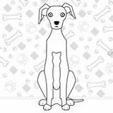Italian Greyhound coloring Page  Free Printable Coloring Pages sketch template