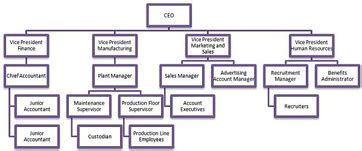 Organogram | Definition, Types & Examples - Lesson | Study.com