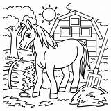 Horse Pictures Coloring Pages sketch template