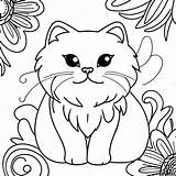 Fluffy Persian Cat Coloring Page 48854 38642 sketch template