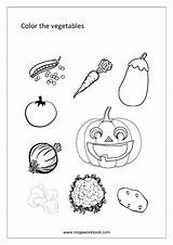 Free Coloring Sheets  Miscellaneous MegaWorkbook sketch template