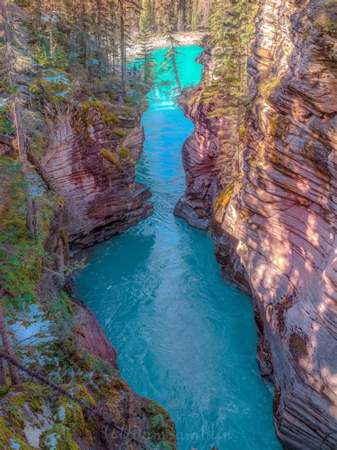 Athabasca Falls on Ice field Parkway in Alberta CA 9/21/2017. (OC ...