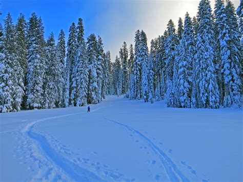 Yosemite Photos - Yosemite In The Winter - Yosemite Peregrine Lodge