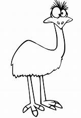 Largest Emu Färbung Seite  Kostenlose Druckbare Malvorlagen Für Kinder sketch template