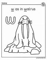 Lower Case letter W Sounds coloring Activities walrus  Preschool365 sketch template