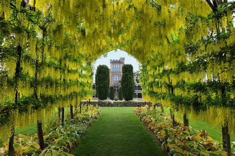 Larnach Castle Lodge | Otago-Dunedin New Zealand | Travel Pacific