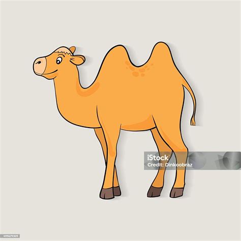 Unta Kartun Lucu Ilustrasi Stok - Unduh Gambar Sekarang - Afrika, Alam, Anggota tubuh hewan - iStock