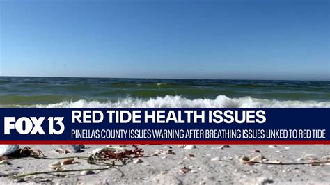 Red tide causing breathing problems along Florida beach - YouTube