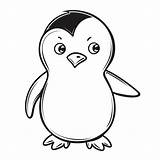 Cute Baby Penguin Coloring Page Outline Sketch Drawing Vector  sketch template