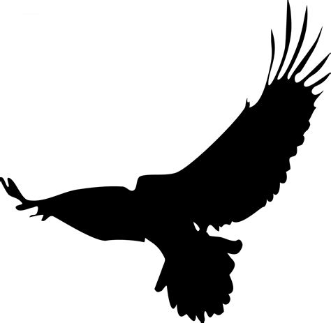 Eagle Silhouette Free Stock Photo - Public Domain Pictures