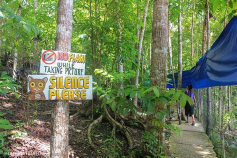 Philippine Tarsier Conservation Area in Loboc, Bohol | The Poor ...