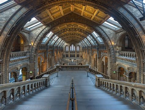 Ten Interesting Facts and Figures about London's Natural History Museum - Londontopia