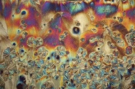 Vitamin C and zinc sulphate crystals, light micrograph - Stock Image - C046/8472 - Science Photo ...