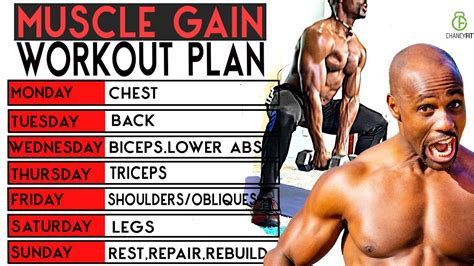 The BEST FULL WEEK WORKOUT PLAN FOR MUSCLE GAIN WORKOUT WITH DUMBBELL ...