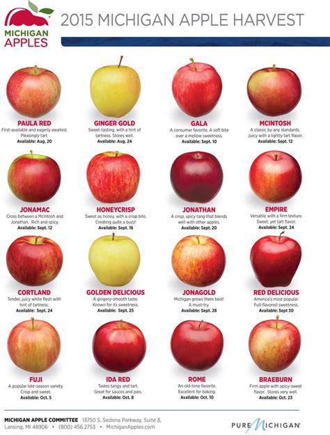 1000+ images about Michigan Apple Varieties on Pinterest | Growing up, Home and Memories