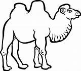 Kameel Kamelen Chameau Dieren Coloriage Ausmalbilder Ausmalbild Kamel  sketch template