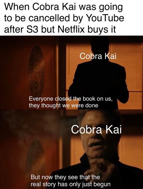 A Collection Of The Best & Funniest Cobra Kai Memes