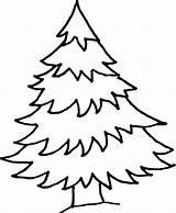 Fir Tree Coloring Page Pages sketch template