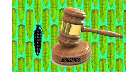 Are Monsanto’s Roundup® Legal Nightmares Just Beginning?