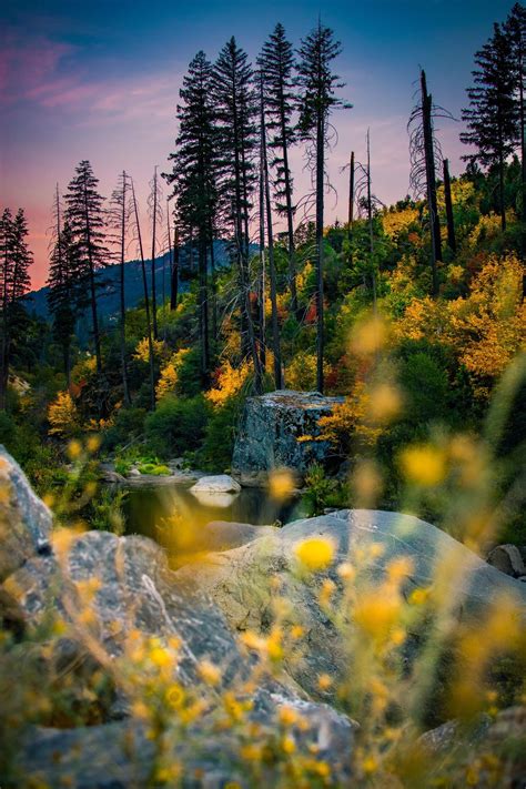 I cannot wait for those fall colors—Hope Valley, California [OC] [4000x6000] : r/EarthPorn