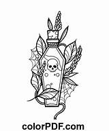 Skull Potion Bottle – Coloring Pages And Books In PDF sketch template