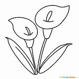 Simple Calla Lily Coloring Page Free Printable For Kids  Home sketch template